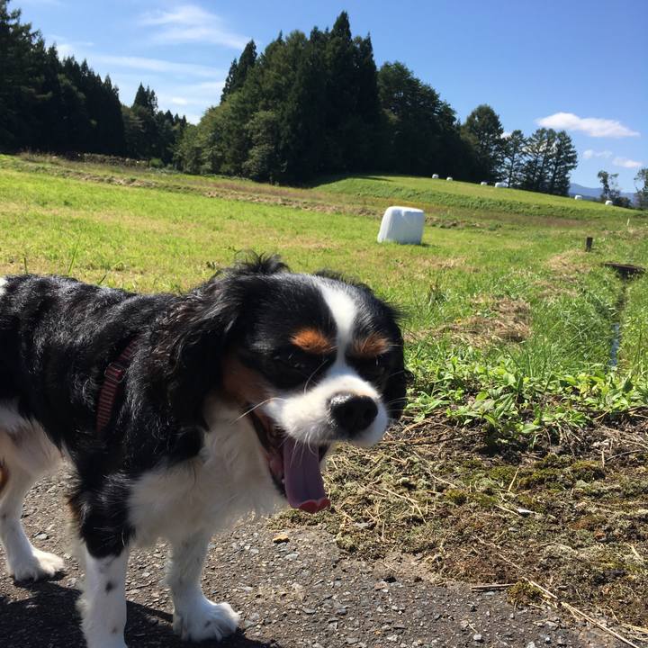 6a5dd230 f02e 475e 81c1 5f42dc58d366