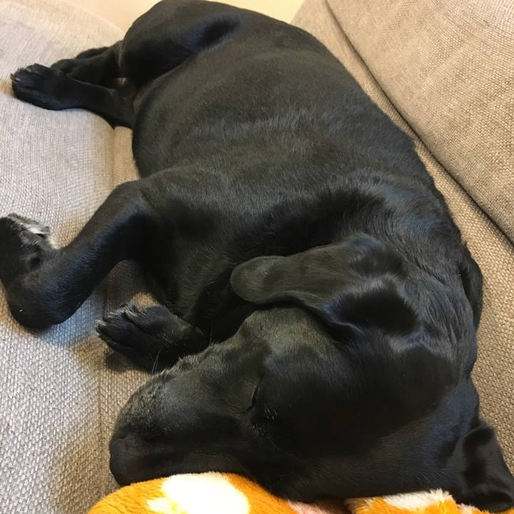 6a5dd9c1 b532 4bad 85eb 36c19ff56c59