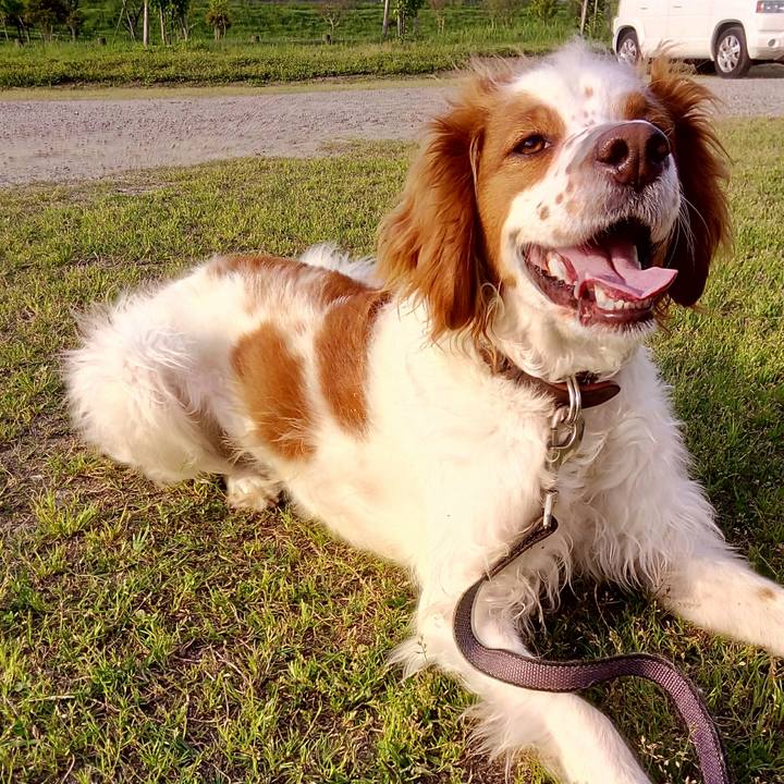 6a5f51dc 96ad 4ae9 81e8 c0527c37f907