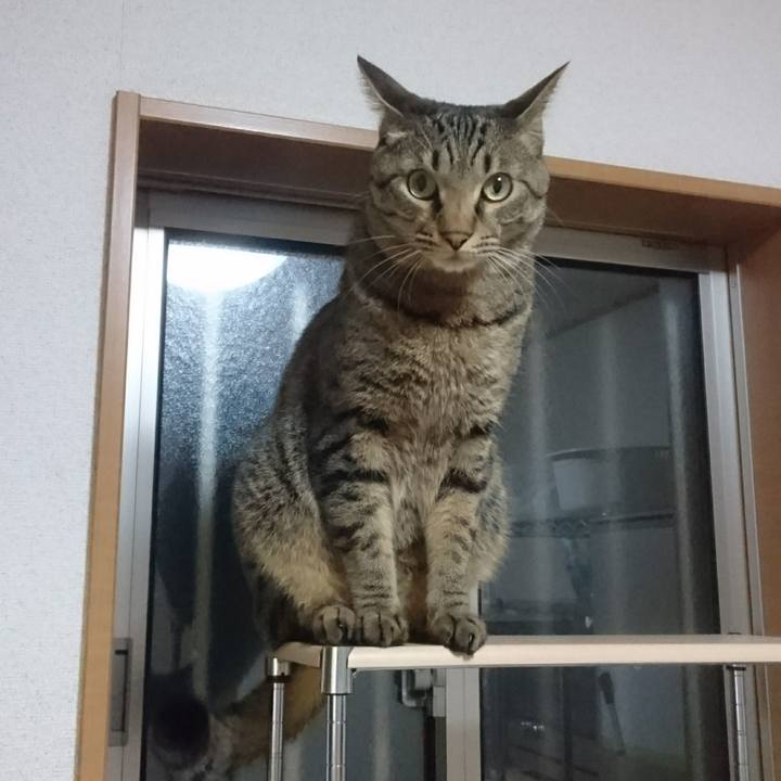 6a5f8144 1551 4a94 9620 d84264d21172