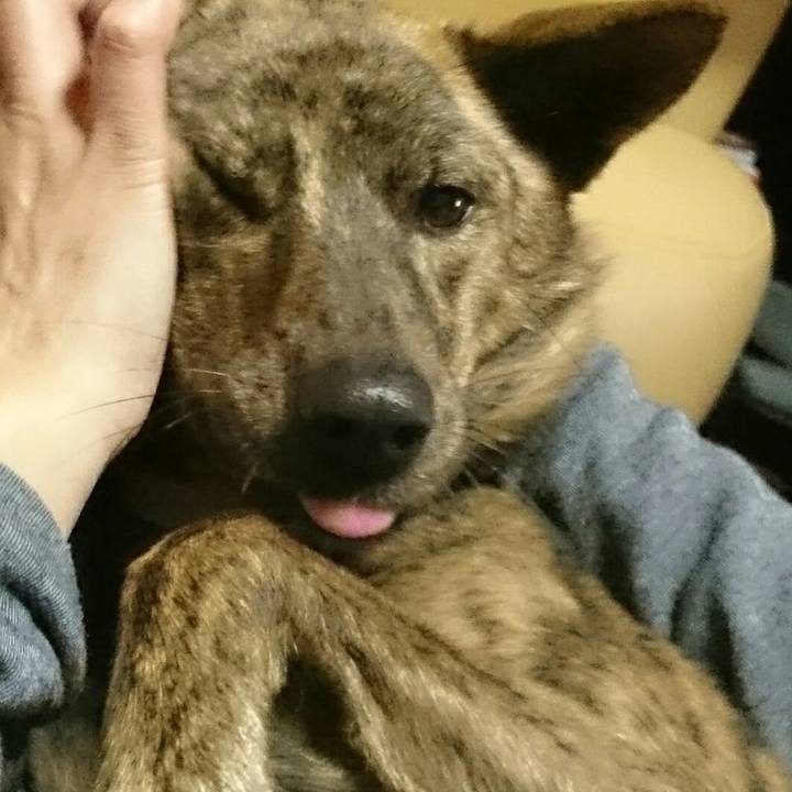 6a5fd972 328b 4a45 ace4 35cd3f77d751