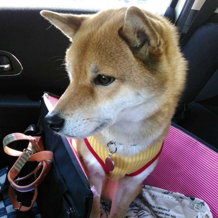 6a5ff06f bdc7 46a6 9c0a b6b87b010ede