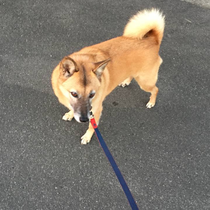 6a600395 b261 4ffb 97cb 656266b23b38