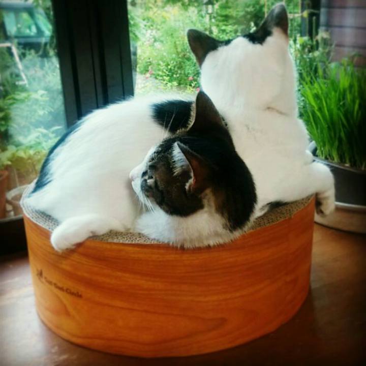 6a6015c1 2daa 4a8b b616 e76a236fc65c