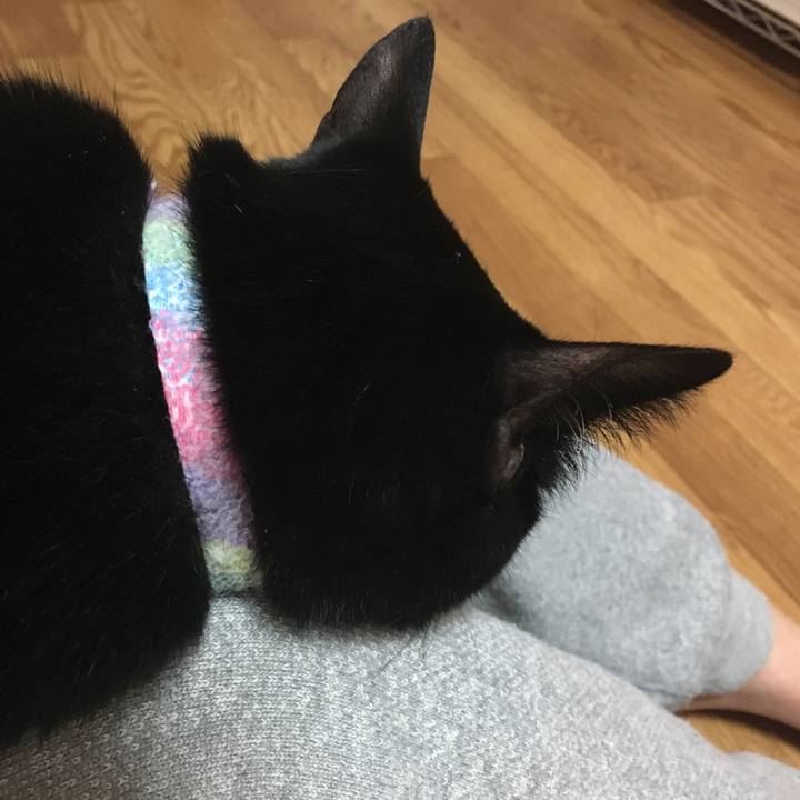 6a60e7f3 e613 4963 86ca 08d79a7ddbf8