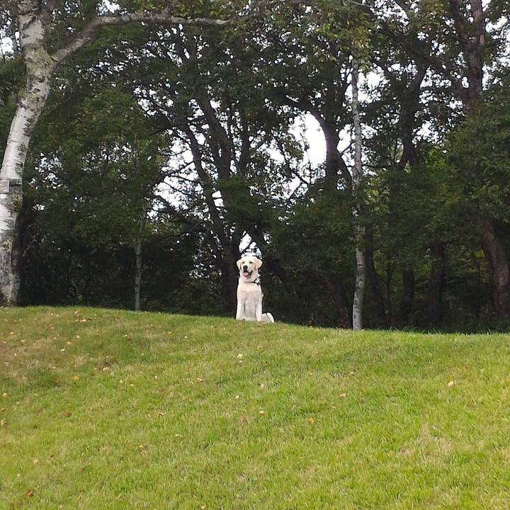 6a60eb0a 12ee 4408 8967 eadfd9094327