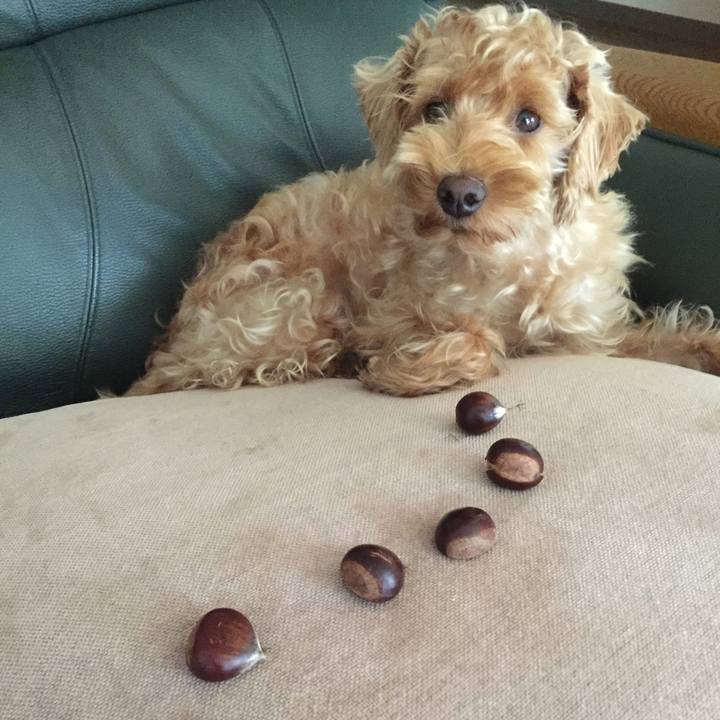 6a61239e c100 41ed 901d c069976302a6