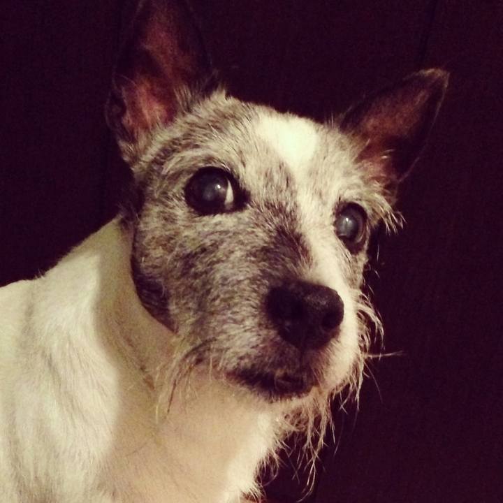 6a618dd5 faba 4b6c b13d 1881bba61751