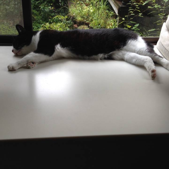 6a6208a3 1d59 4039 b553 935e7d3454ef