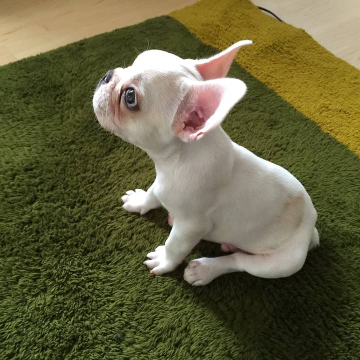 6a635b03 7c46 4532 bbbd 6e743eadc77b