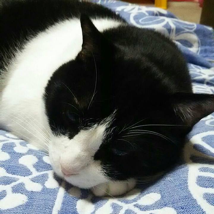 6a639759 bf87 4182 bb3b 433fa6a995c5