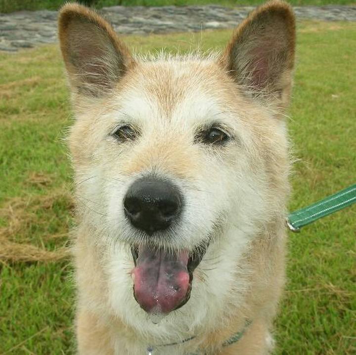 6a63cc19 6b97 4e47 a2b4 8148b021288a