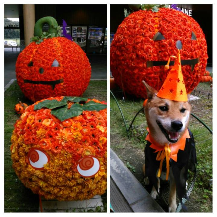 6a63ce97 e184 430f be5b 5ef5f9a96451