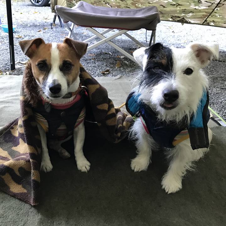 6a642e53 b237 4c3a 8ec0 1c1a3b7bfb8b