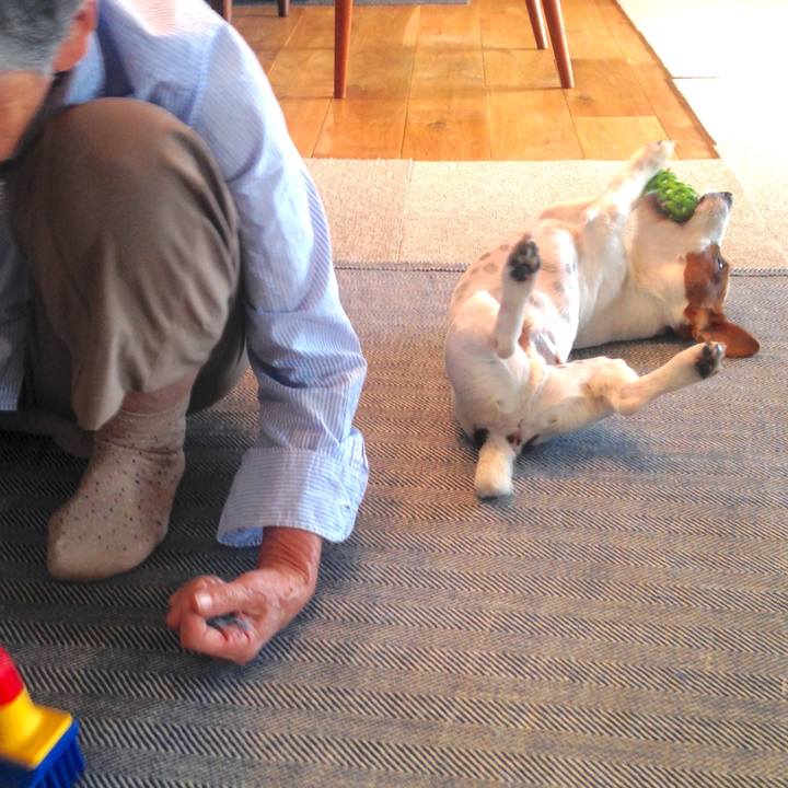 6a646b94 c154 4627 a7ea 23cef755fad2