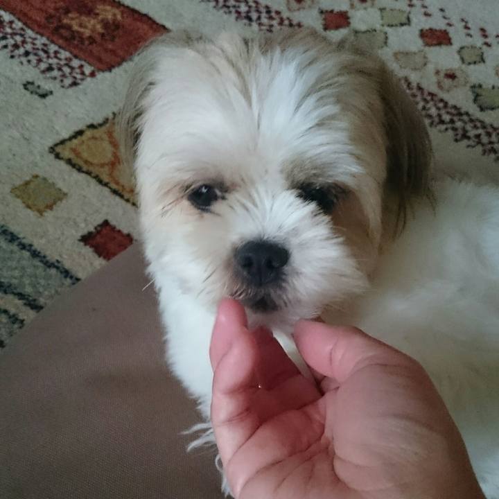 6a64c576 a724 4070 a7bb 9d8ee44977de