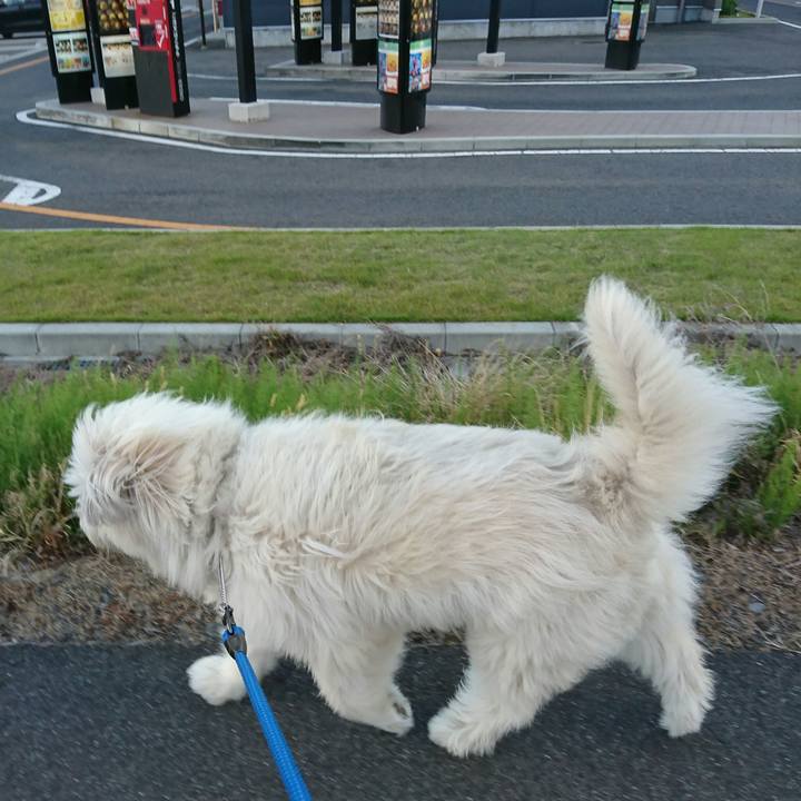 6a6514e3 61a3 457b 83db f69aa0a83cae