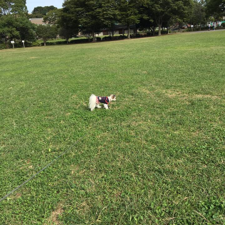 6a654e38 bdbc 4f05 81ae 39cb78fa9f12