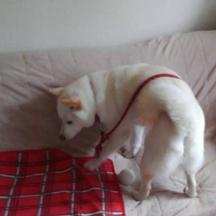 6a6576ec ed52 4bea ad4a eb6071fd45f5