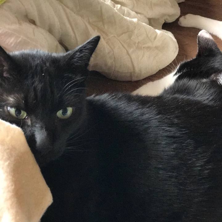 6a6653ee 237d 456c aa22 edb85dc4f589