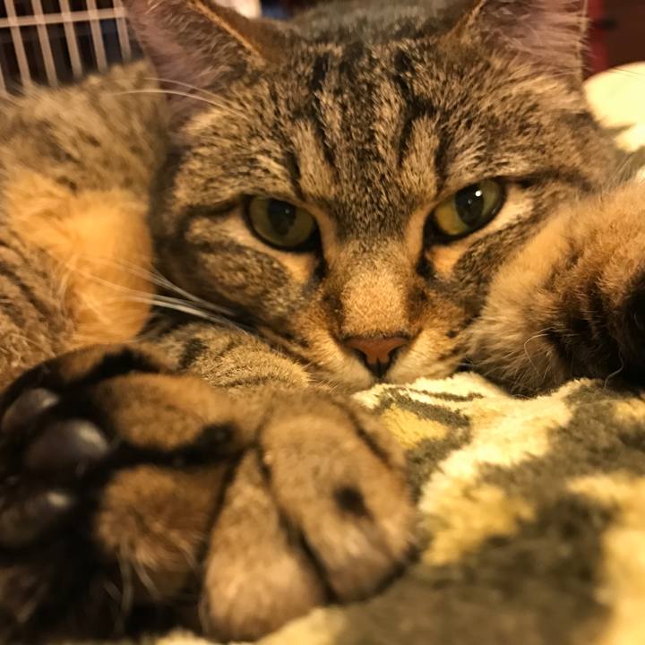 6a66c2bf 2808 448a 9982 352f59991d9f