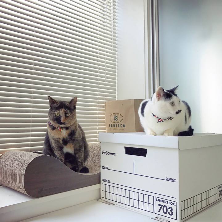 6a66ccf9 e147 4a02 b89f 02f8bd058916