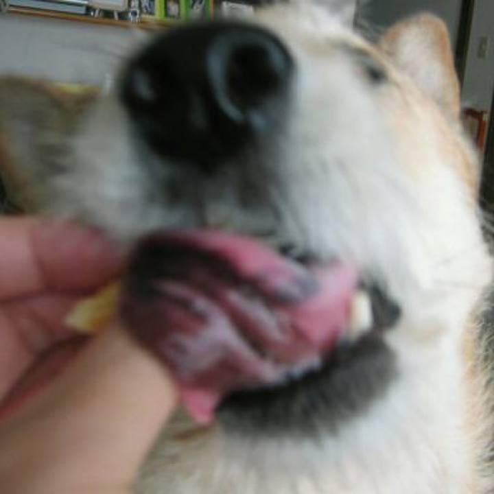 6a6721f5 a62a 4002 a530 3c2078c760f6