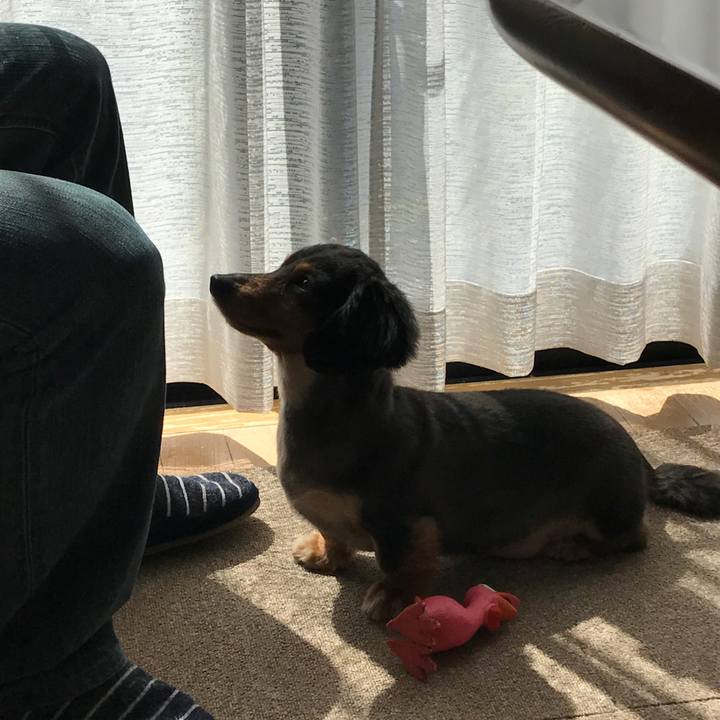 6a6742fc eaa1 4927 9194 ab00973685f6