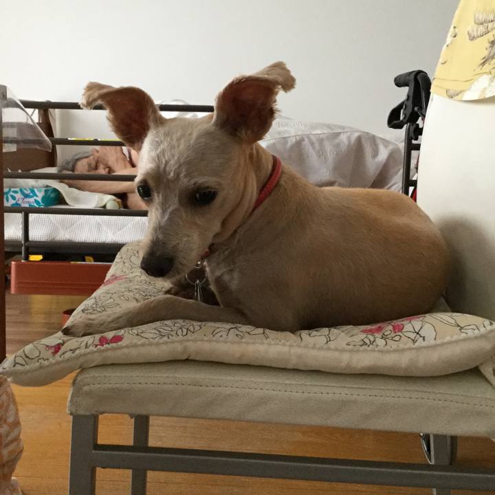 6a67783c ac50 4937 b759 3bf3473b2f54