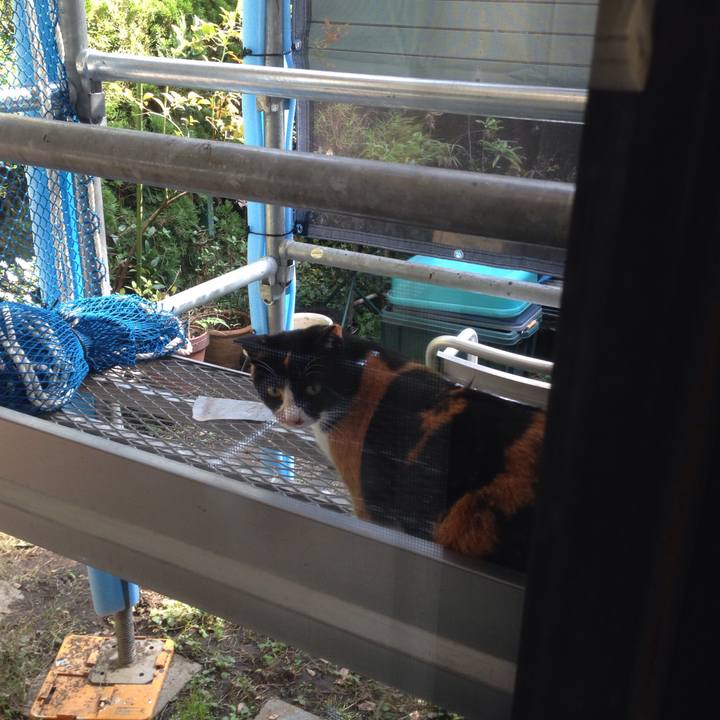 6a679c4a 19b9 493d aa56 3b5f2453d142