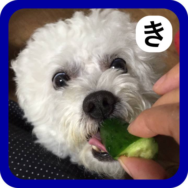 6a67e4c4 15c2 4288 a1e1 4b6c0c2cbcc3