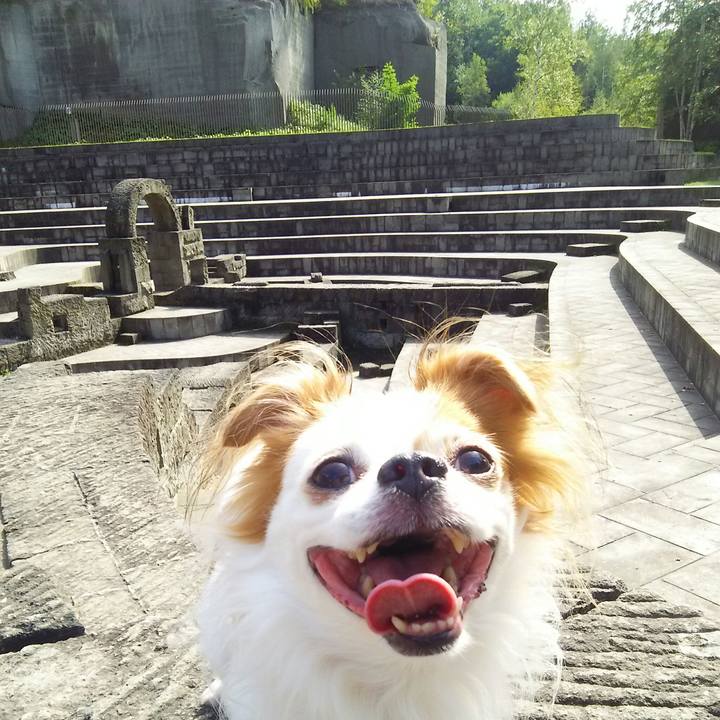 6a68c3ae 4a6e 412c a802 0ac923e5973f