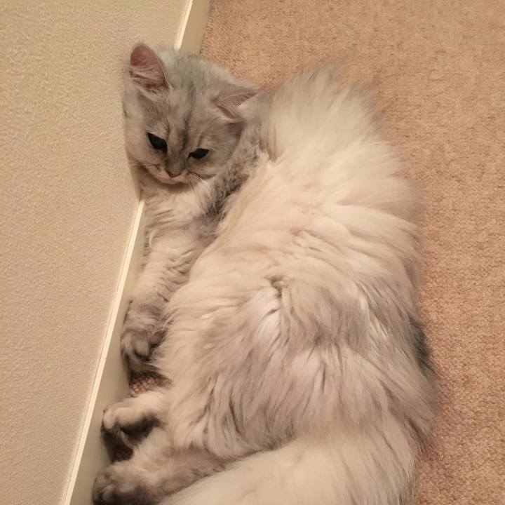 6a68cde5 8186 486c ac67 59640d6a1583