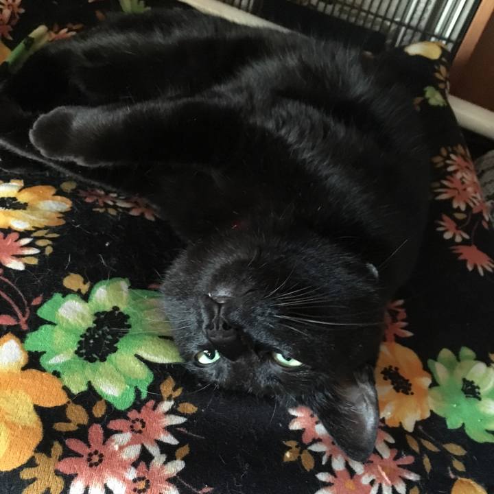 6a68e5b8 4c64 4973 a96a cb862451c32b