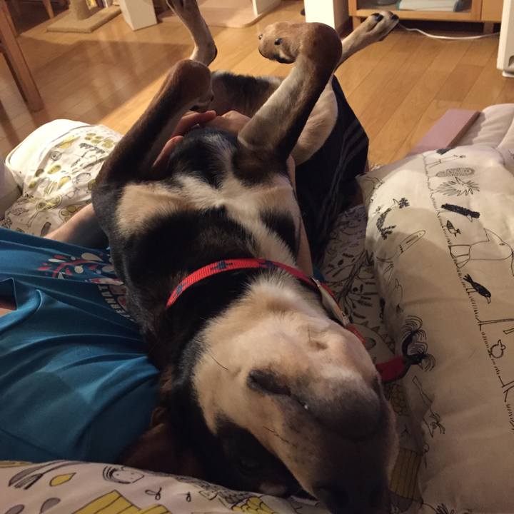 6a69f15c 23a7 40ff b74b 9c5331172166