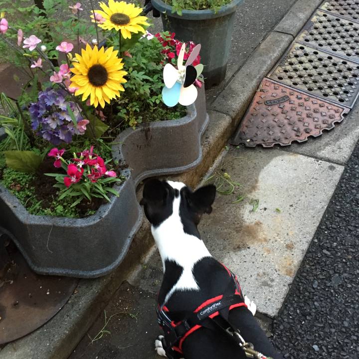 6a6a5313 11a9 4b11 8060 ecbd6f326ed8