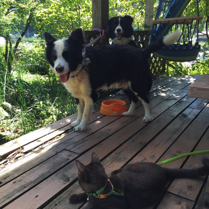 6a6aa309 dc29 4638 97f9 dc1ca5a84b5e