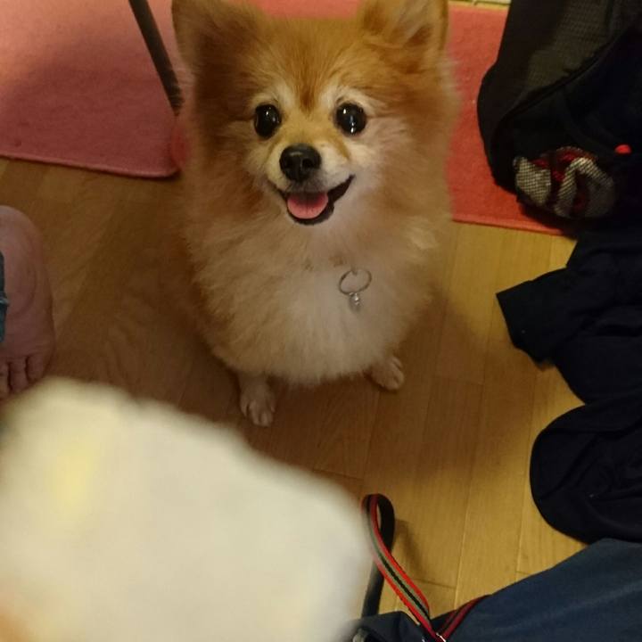 6a6b49a6 1fac 4b84 89e7 6f4873c2c5df