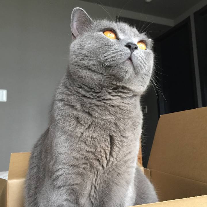 6a6d5b77 f148 4da4 9274 67d730ce64fe