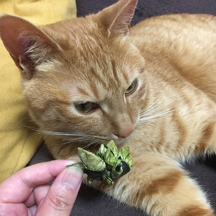 6a6ebeba 3d52 4a1a 8c5b 903bfa590eb5