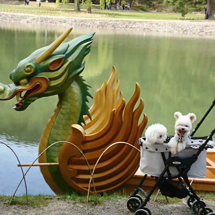 6a6ef9a6 a8a8 4162 a17a 86435fe1b484