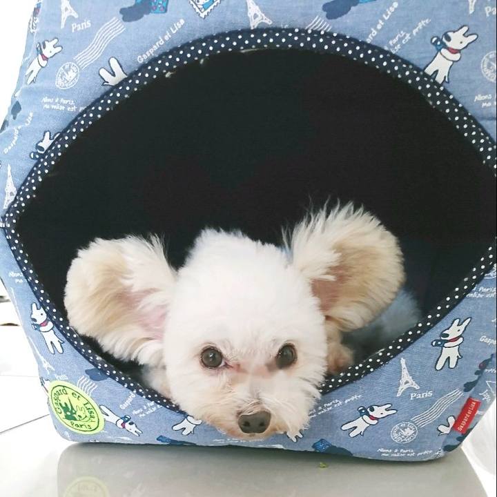 6a6effe6 9cec 4474 a29a b32cf7b098b0