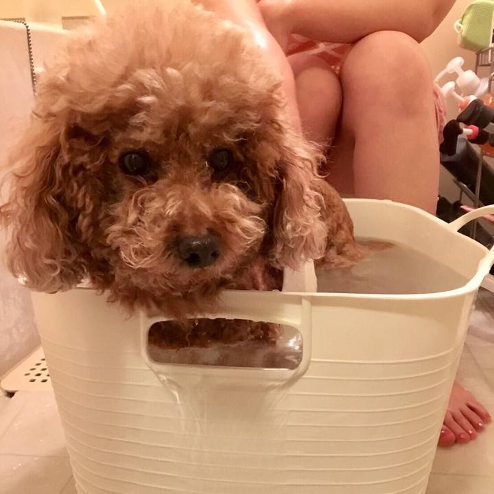 6a6f1559 7bb9 4ea9 a1fd c5fbcac8bf41