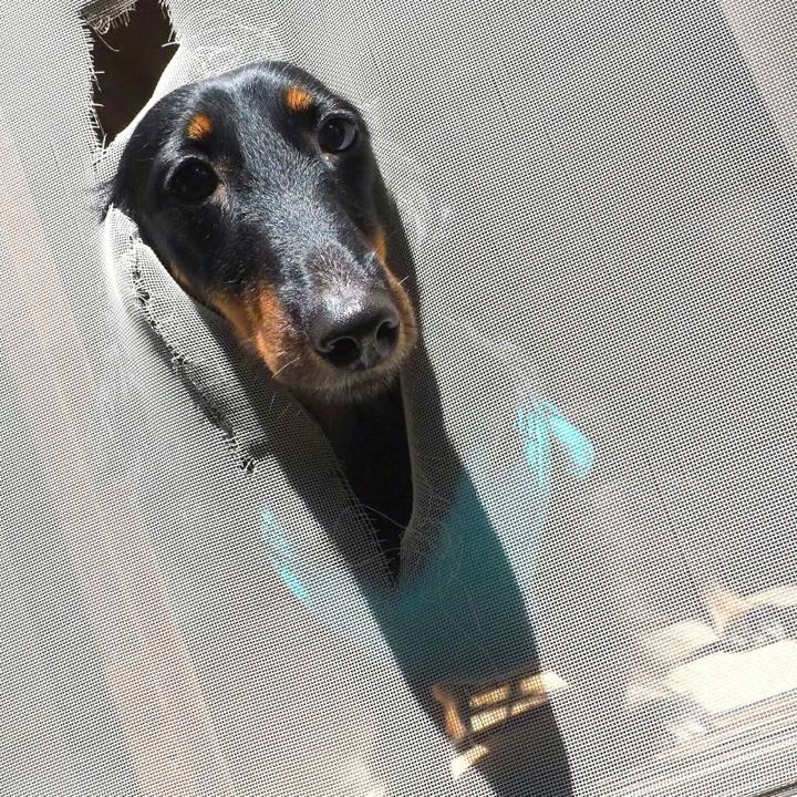 6a6f2ed1 d4ed 444a be61 a8e005b6894e