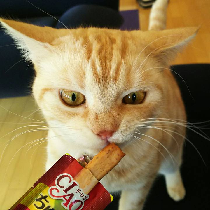 6a6f35c8 fb05 4d18 bb68 526dc74e6a42