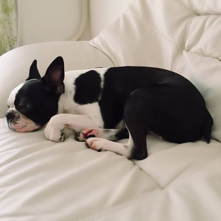 6a6fcada 454f 4096 85a0 0a8c134f59d4