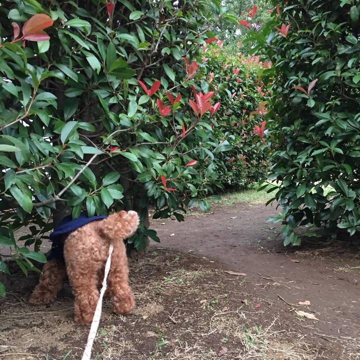 6a702c58 da88 40eb 996b 531a10fe64ee