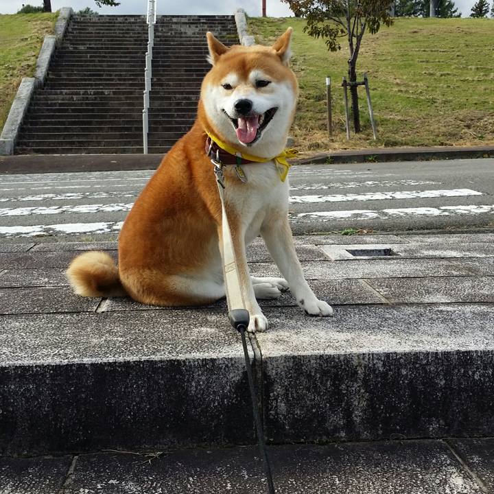 6a70bbb7 f607 4244 be56 035433315b40