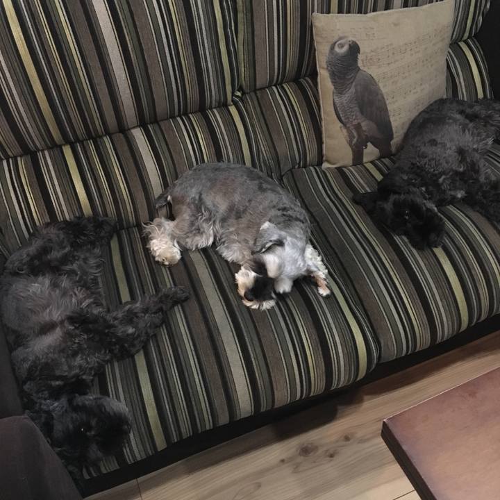 6a70bf2f 56e4 4030 aabe 846f059e7543