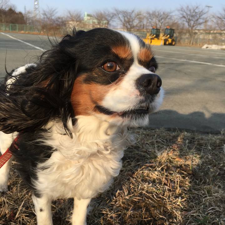 6a7181d5 1dea 4771 8fc7 d458c05657c9